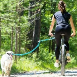 Barre VTT Link ALM -Promos Wanimo Boutique barre vtt link alm i dog 2