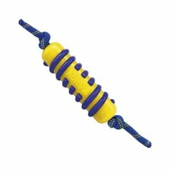KONG Bâton Avec Corde Jaxx Brights