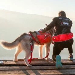 Baudrier Confort Trek 6 Baudrier Confort Trek -Promos Wanimo Boutique baudrier confort trek i dog 2