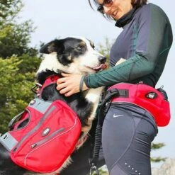 Baudrier Confort Trek 7 Baudrier Confort Trek -Promos Wanimo Boutique baudrier confort trek i dog 3