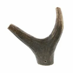 Bois De Cerf 9 Bois De Cerf -Promos Wanimo Boutique bois de cerf wouapy 4