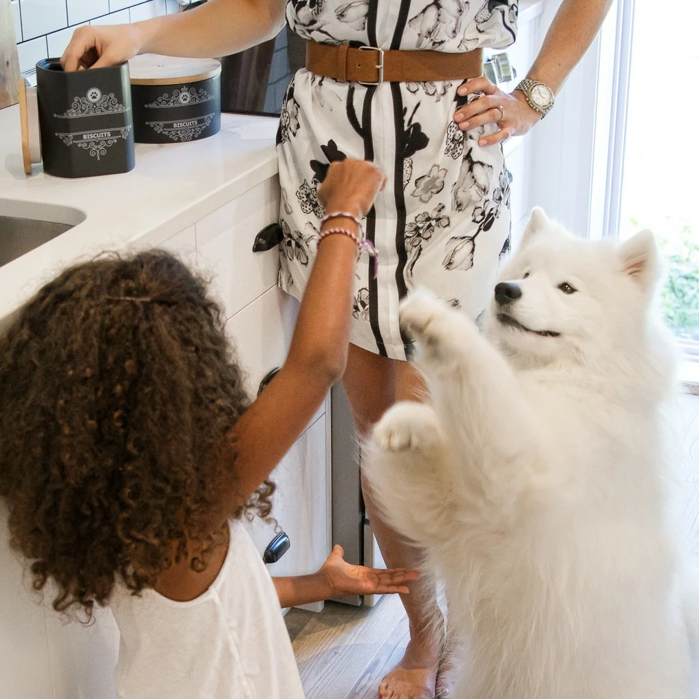 Boite à Biscuits 3 Boite à Biscuits – Image 3