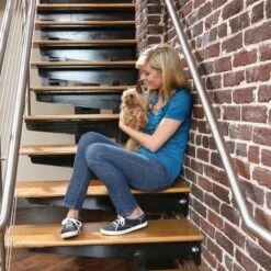 PetSafe Boitier Anti-aboiements Bark Control -Promos Wanimo Boutique boitier anti aboiements bark control petsafe 3