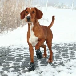 Trixie Bottes De Protection Walker Active 7 Trixie Bottes De Protection Walker Active -Promos Wanimo Boutique bottes de protection walker active trixie 3