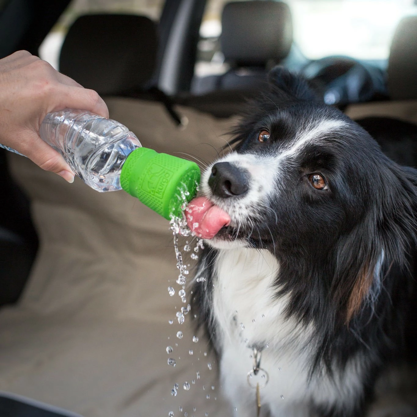 Kurgo Bouchon Pommeau De Douche Mud Dog Shower 5 Kurgo Bouchon Pommeau De Douche Mud Dog Shower – Image 5