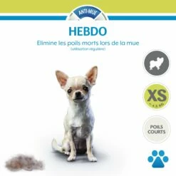 Brosse Furminator Poils Courts 20 Brosse Furminator Poils Courts -Promos Wanimo Boutique brosse furminator poils courts furminator 17