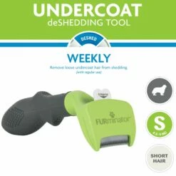 Brosse Furminator Poils Courts 28 Brosse Furminator Poils Courts -Promos Wanimo Boutique brosse furminator poils courts furminator 25