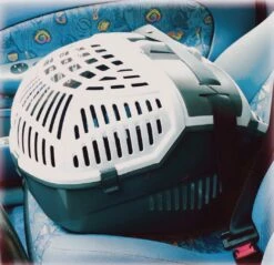 MARTIN SELLIER Caisse De Transport Avior 9 MARTIN SELLIER Caisse De Transport Avior -Promos Wanimo Boutique caisse de transport avior martin sellier 4