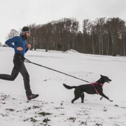 Ceinture Ludus Pour Cani-rando, Canicross 12 Ceinture Ludus Pour Cani-rando, Canicross -Promos Wanimo Boutique ceinture ludus pour cani rando canicross kyflie 5