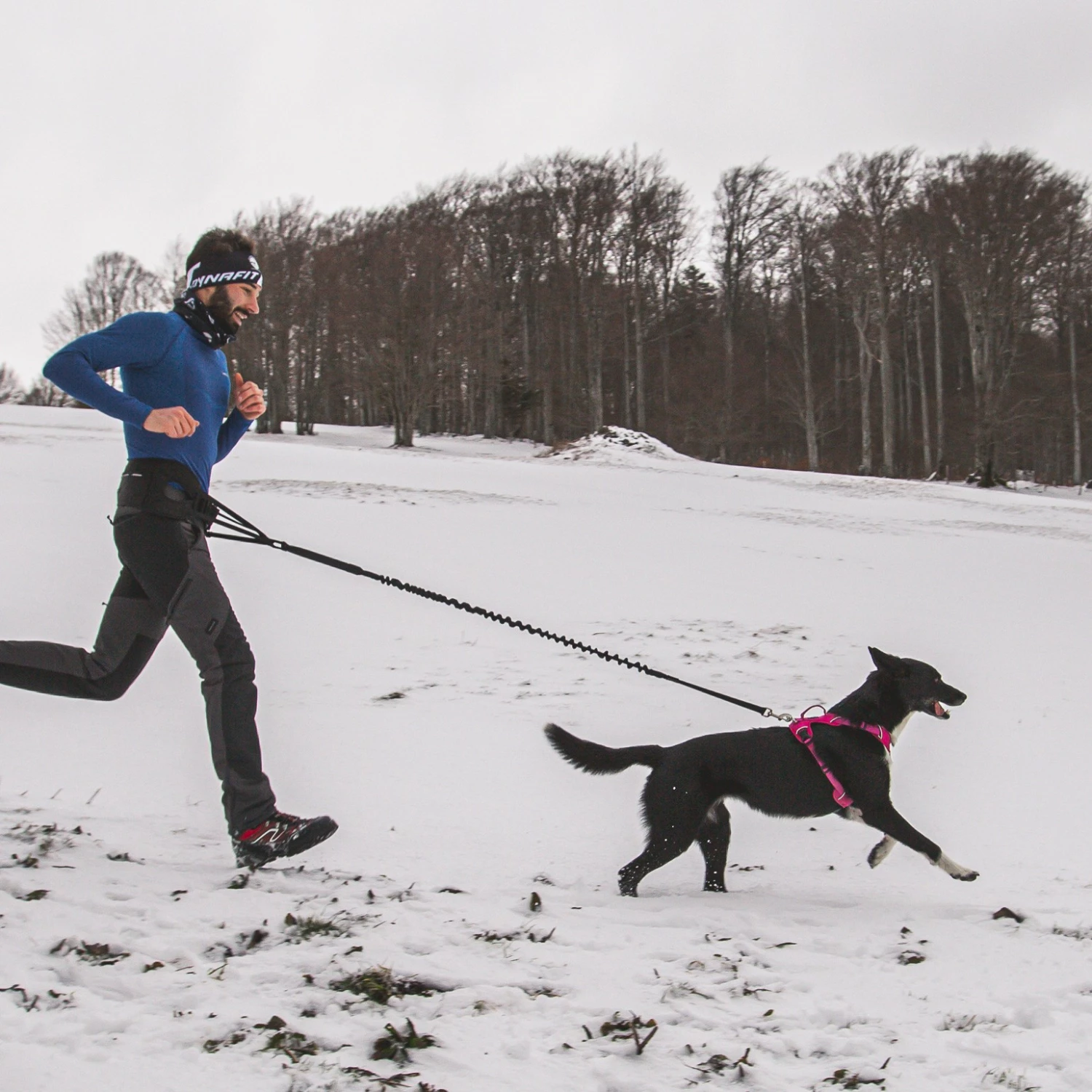 Ceinture Ludus Pour Cani-rando, Canicross 6 Ceinture Ludus Pour Cani-rando, Canicross – Image 6
