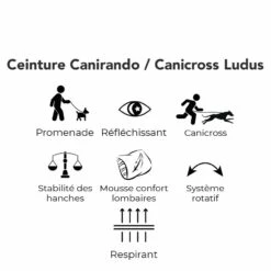 Ceinture Ludus Pour Cani-rando, Canicross 13 Ceinture Ludus Pour Cani-rando, Canicross -Promos Wanimo Boutique ceinture ludus pour cani rando canicross kyflie 6