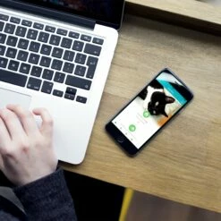 Chatière électronique Connect SureFlap -Promos Wanimo Boutique chatiere electronique connect sureflap sure petcare 10