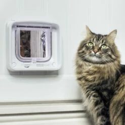 Chatière électronique Connect SureFlap -Promos Wanimo Boutique chatiere electronique connect sureflap sure petcare 5