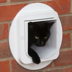 Chatière électronique DualScan™ SureFlap -Promos Wanimo Boutique chatiere electronique dualscan sureflap sure petcare 4