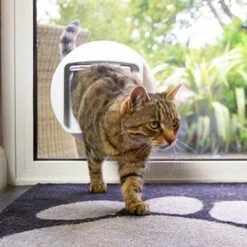 Chatière électronique DualScan™ SureFlap -Promos Wanimo Boutique chatiere electronique dualscan sureflap sure petcare 5