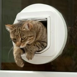 Chatière électronique DualScan™ SureFlap -Promos Wanimo Boutique chatiere electronique dualscan sureflap sure petcare 6