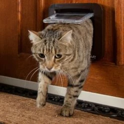 Chatière électronique 21 Chatière électronique -Promos Wanimo Boutique chatiere electronique sureflap 1 10