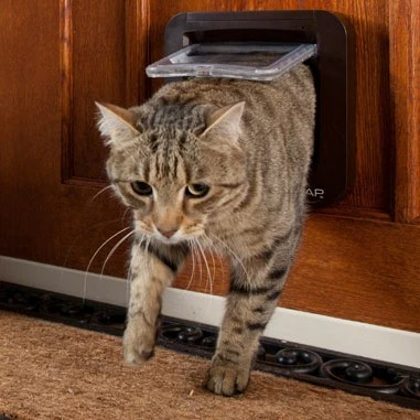 Chatière électronique 11 Chatière électronique – Image 11