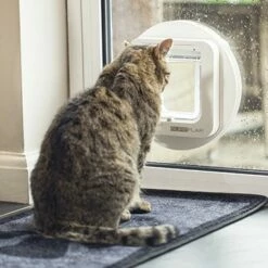 Chatière électronique 14 Chatière électronique -Promos Wanimo Boutique chatiere electronique sureflap 1 3