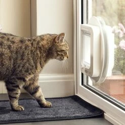 Chatière électronique 15 Chatière électronique -Promos Wanimo Boutique chatiere electronique sureflap 1 4