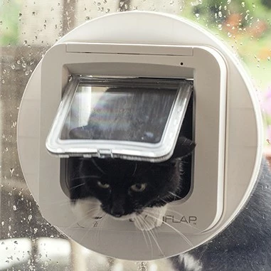 Chatière électronique 7 Chatière électronique – Image 7