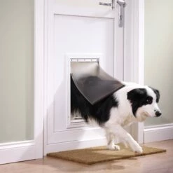 PetSafe Chatière Staywell® 600 5 PetSafe Chatière Staywell® 600 -Promos Wanimo Boutique chatiere staywell petsafe 16