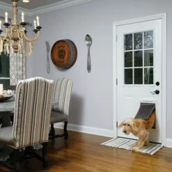 PetSafe Chatière Ultra Isolante 7 PetSafe Chatière Ultra Isolante -Promos Wanimo Boutique chatiere ultra isolante petsafe 3