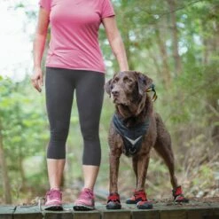 Kurgo Chaussures Techniques Blaze Cross -Promos Wanimo Boutique chaussures techniques blaze cross kurgo 3