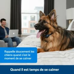PetSafe Collier Anti-aboiement à Signal Sonore Rechargeable -Promos Wanimo Boutique collier anti aboiement a signal sonore rechargeable petsafe 2