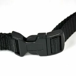 PetSafe Collier Anti-aboiement à Ultrasons 10 PetSafe Collier Anti-aboiement à Ultrasons -Promos Wanimo Boutique collier anti aboiement a ultrasons petsafe 4