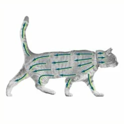 Collier Antiparasitaire Seresto Chat -Promos Wanimo Boutique collier antiparasitaire seresto chat elanco 2