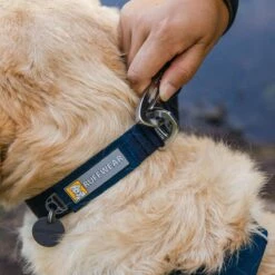 Ruffwear Collier Front Range – Bleu Nuit -Promos Wanimo Boutique collier front range bleu nuit ruffwear 2