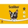Collier Scalibor Chien