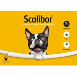 Collier Scalibor Chien
