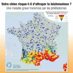 Collier Scalibor Chien 10 Collier Scalibor Chien -Promos Wanimo Boutique collier scalibor chien msd sante animale 4