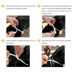 Collier Scalibor Chien 11 Collier Scalibor Chien -Promos Wanimo Boutique collier scalibor chien msd sante animale 5