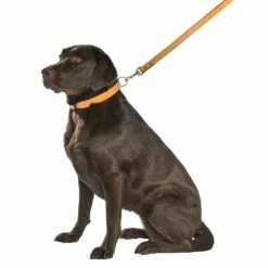 BOBBY Collier Tomy - Moutarde -Promos Wanimo Boutique collier tomy moutarde bobby 2