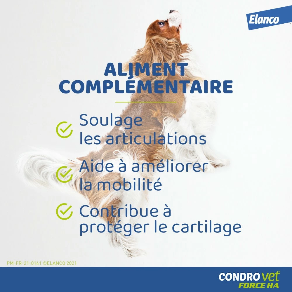 Condrovet Chien 2 Condrovet Chien – Image 2