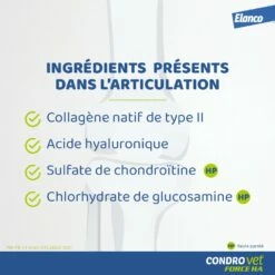 Condrovet Chien 7 Condrovet Chien -Promos Wanimo Boutique condrovet chien bayer 2