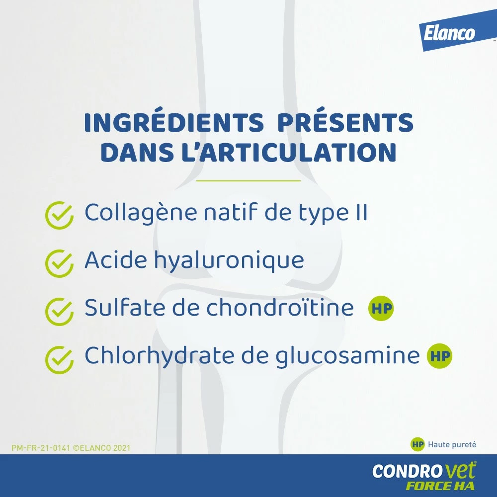 Condrovet Chien 3 Condrovet Chien – Image 3