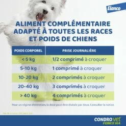 Condrovet Chien 9 Condrovet Chien -Promos Wanimo Boutique condrovet chien bayer 4