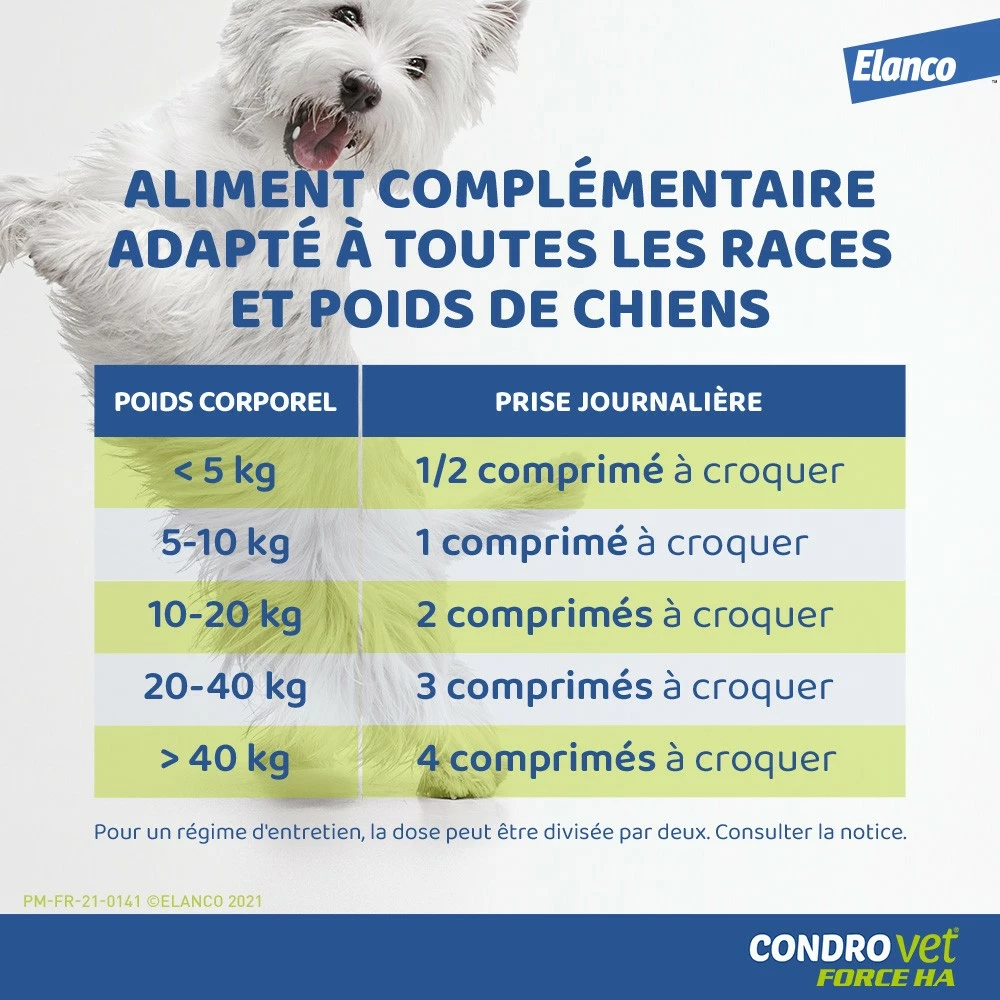 Condrovet Chien 5 Condrovet Chien – Image 5