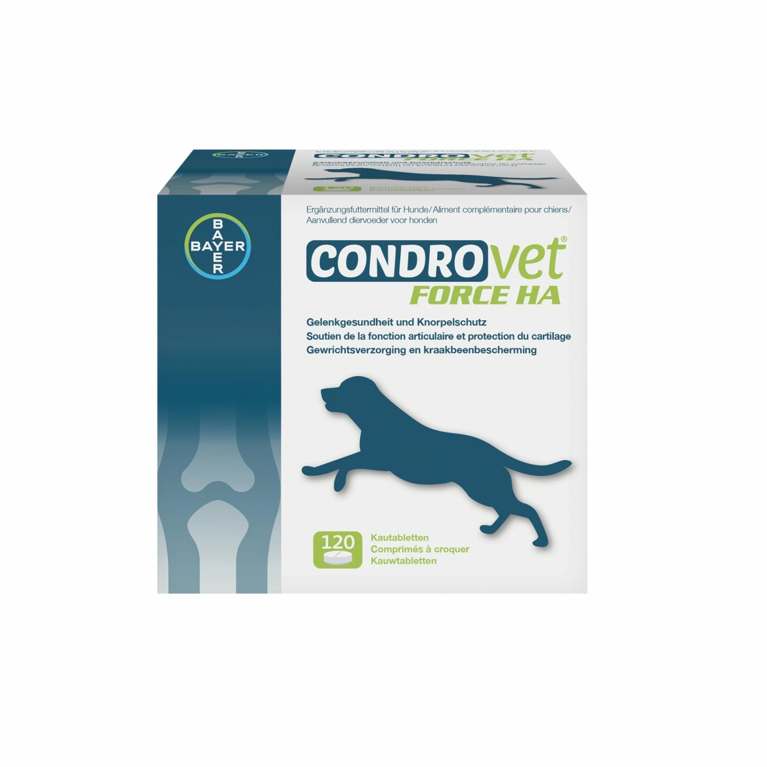 Condrovet Chien 1 Condrovet Chien