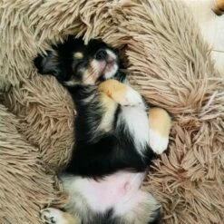 Corbeille Cocoon Taupe -Promos Wanimo Boutique corbeille cocoon taupe wouapy 3