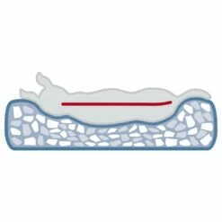 Trixie Coussin à Mémoire De Forme Tonio 14 Trixie Coussin à Mémoire De Forme Tonio -Promos Wanimo Boutique coussin a memoire de forme tonio trixie 6