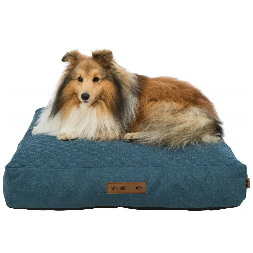 Trixie Coussin à Mémoire De Forme Tonio 8 Trixie Coussin à Mémoire De Forme Tonio – Image 8