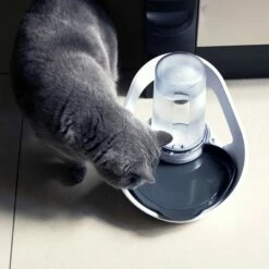 Distributeur D'eau Felaqua Connect -Promos Wanimo Boutique distributeur d eau felaqua connect 1 10