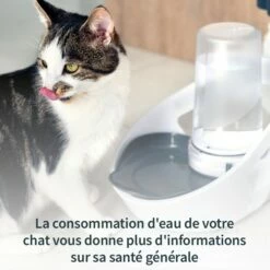 Distributeur D'eau Felaqua Connect -Promos Wanimo Boutique distributeur d eau felaqua connect 1 12