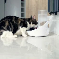 Distributeur D'eau Felaqua Connect -Promos Wanimo Boutique distributeur d eau felaqua connect 1 5