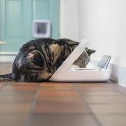 Distributeur électronique SureFeed Connect -Promos Wanimo Boutique distributeur electronique surefeed connect sure petcare 4